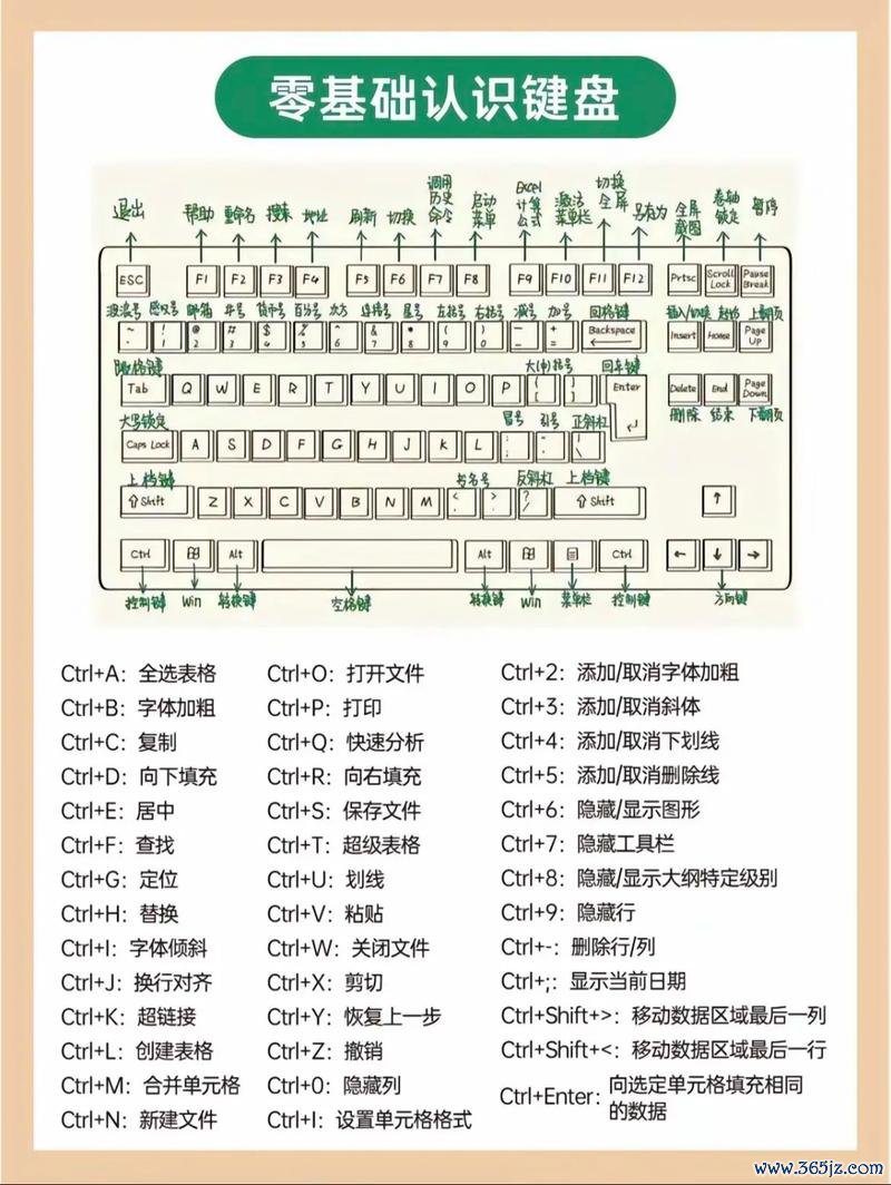 2026最新版!易欧官网下载教程(电脑端)—5分钟快速安装+零基础使用全攻略 2026最新版!易欧官网下载教程(电脑端)—5分钟快速安装+零基础使用全攻略